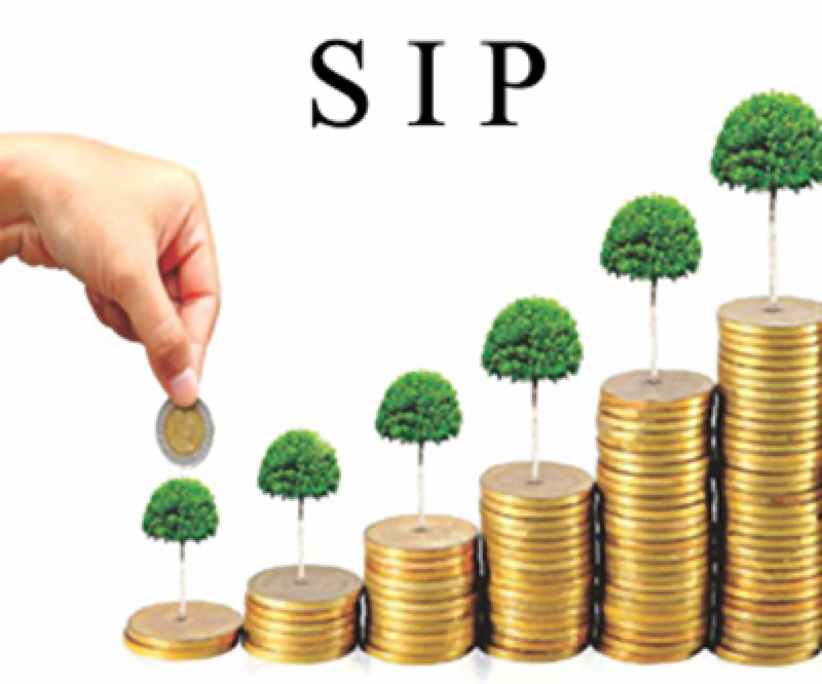 Investment: Disciplined investing requires a balanced portfolio, not a multitude of SIPs.