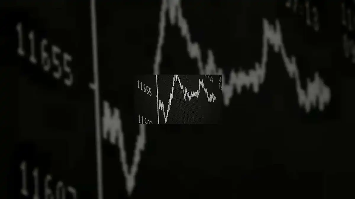 Market Slump Wipes Out ₹2 Lakh Crore: Reliance Industries and Tata Consultancy Services Lead Losses