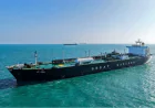 Strait of Hormuz Row: Govt Rejects Claims of India-Iran Transit Levy Discussions