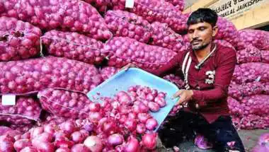 India Faces Onion Glut as Gulf Demand Falls, Farmers Forced to Sell Cheap