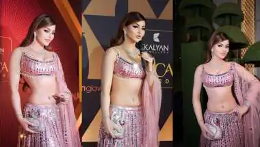 Urvashi Rautela Stuns in ₹70 Lakh Pink Indo-Western at INCA Awards