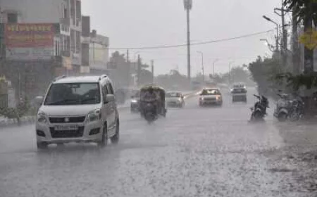 Farmers Face Losses as Mustard, Cumin Crops Hit by Storms in Rajasthan
