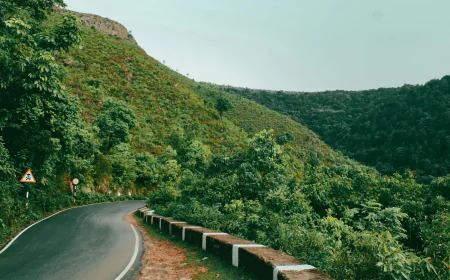 Araku Valley Tourism on the Rise: What Makes This Hill Destination Special