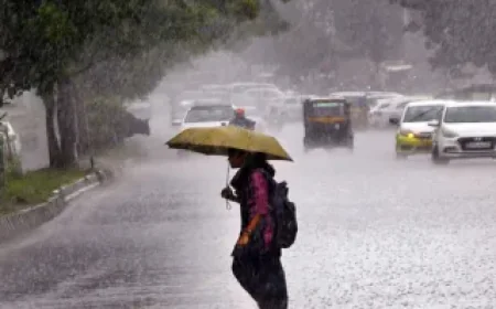 India Meteorological Department Issues Alert: Rain, Thunderstorms, Hail Likely in 17 Rajasthan Districts