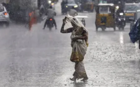 Rajasthan Weather: Rain, Hailstorms Continue as Western Disturbance Hits State