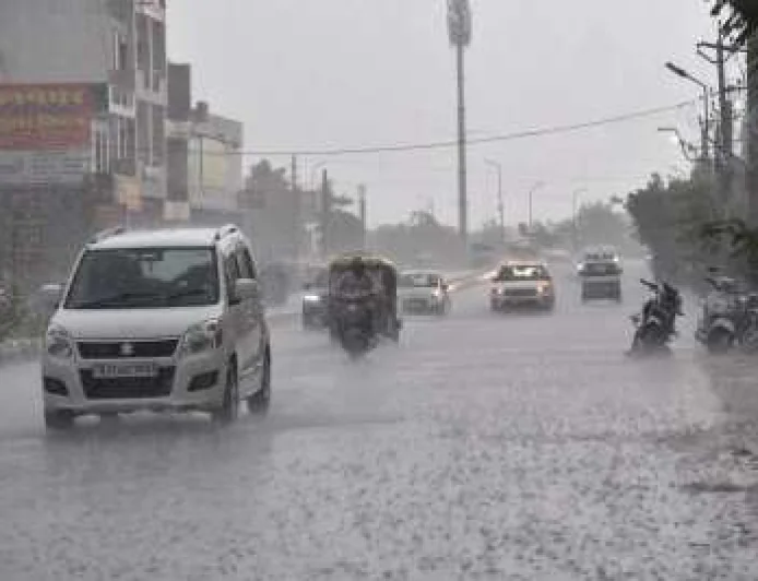 Farmers Face Losses as Mustard, Cumin Crops Hit by Storms in Rajasthan