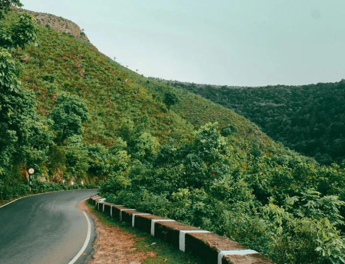 Araku Valley Tourism on the Rise: What Makes This Hill Destination Special