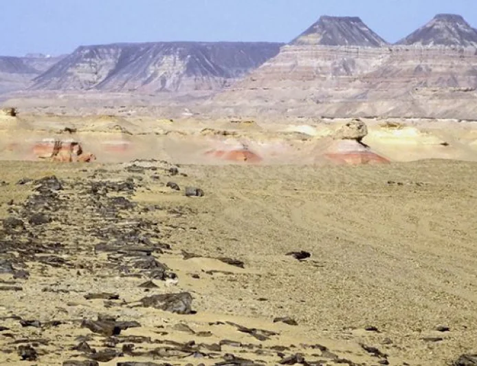 Journey to Ancient Egypt: The 4,600-Year-Old Road to Giza Pyramids Explained