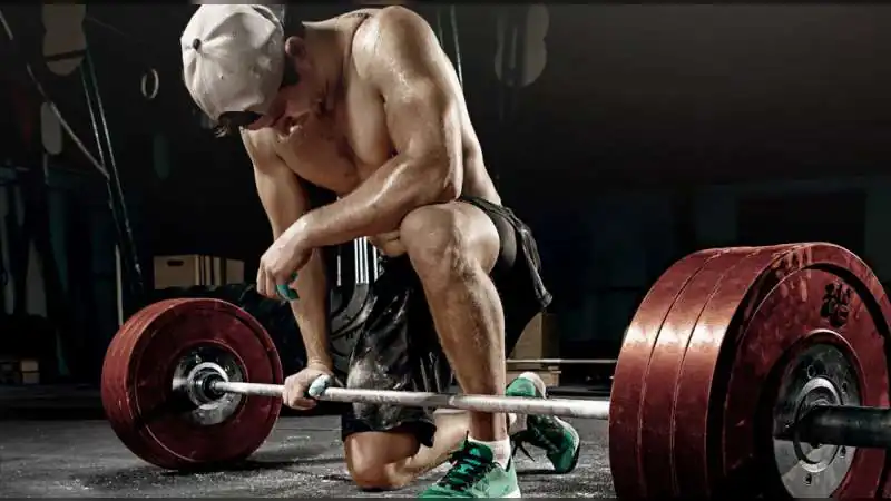 Post-Cardio Protein: Why Protein After Cardio Is Just as Important as Strength Training