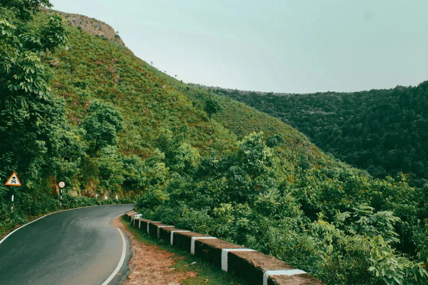 Araku Valley Tourism on the Rise: What Makes This Hill Destination Special