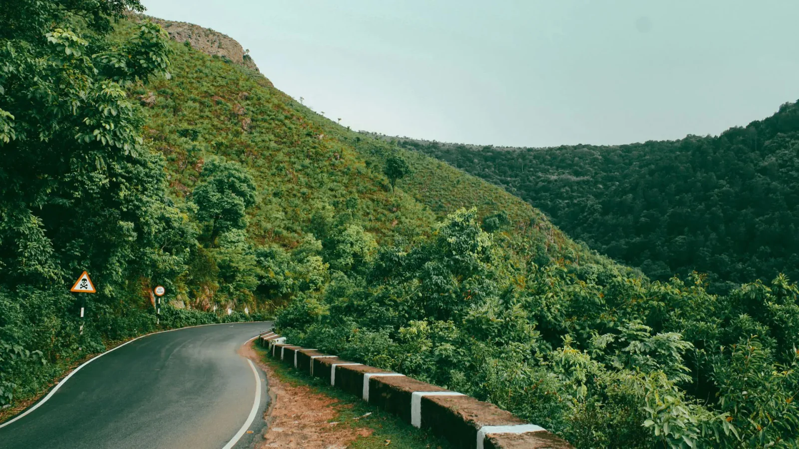 Araku Valley Tourism on the Rise: What Makes This Hill Destination Special