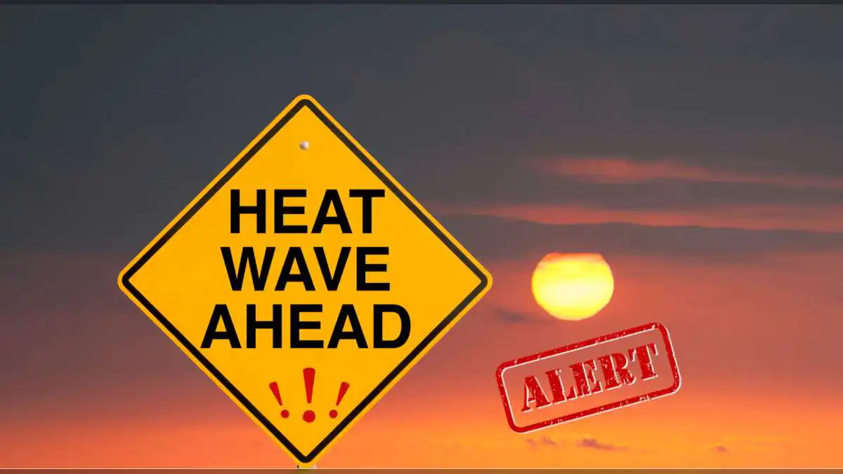 Heatwave Travel Alert: Essential Tips to Stay Safe During Extreme Summer Heat