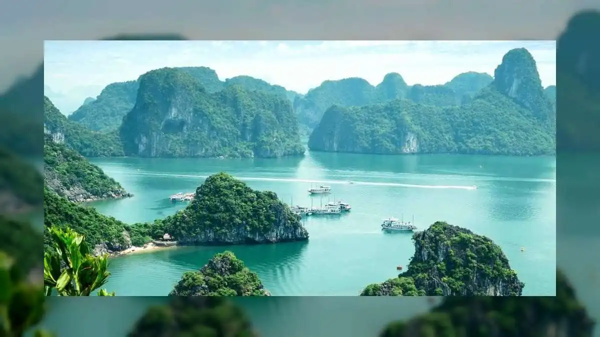 Vietnam Tour Packages 2026: Best Places to Visit with Flamingo Travels