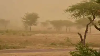 Rajasthan Gets Major Relief as Dust Storms and Rain Slash Temperatures by Up to 12°C