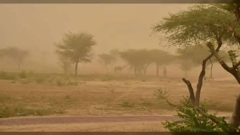 Rajasthan Gets Major Relief as Dust Storms and Rain Slash Temperatures by Up to 12°C