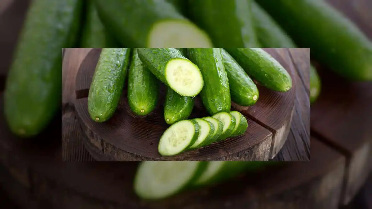 Should You Eat the White Tip of a Cucumber? Here’s What Experts Say Should You Eat the White Tip of a Cucumber? Here’s What Experts Say