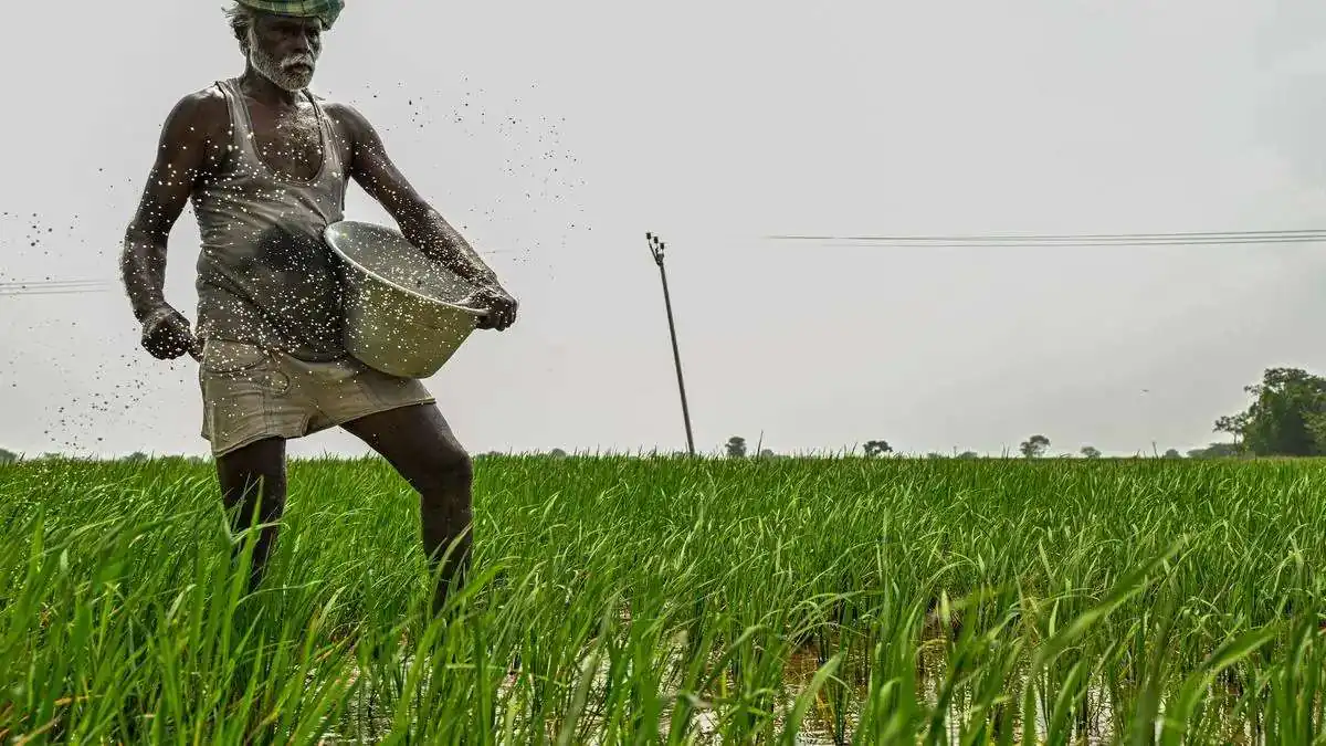 West Asia Crisis May Double India’s Fertilizer Subsidy Bill, Finance Ministry Under Pressure