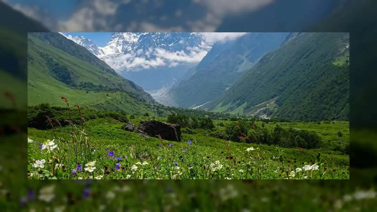 From Valley of Flowers to Kanamo Peak: Best Monsoon Treks to Explore This Season