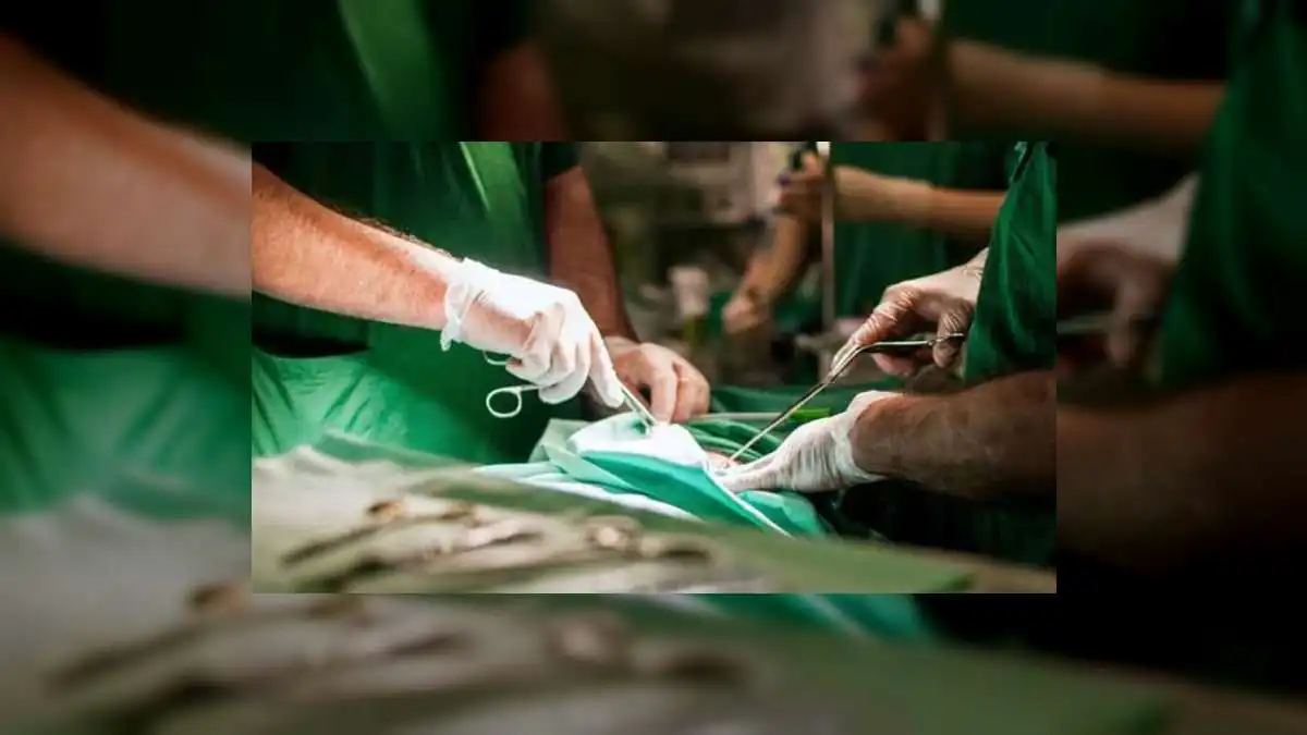 After Kota Deaths and Bikaner Kidney Failures, Now 8 C-Section Women Ill in Jodhpur - Rajasthan's Hospital Crisis Deepens