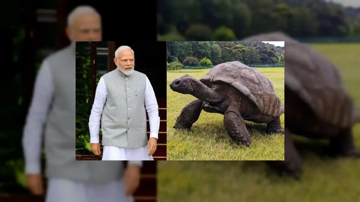 PM Modi Meets Jonathan, World's Oldest Living Land Animal, During State Visit to Seychelles