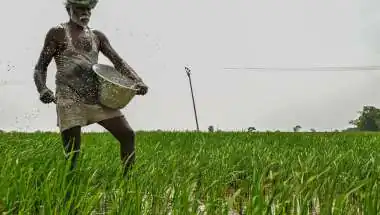 West Asia Crisis May Double India’s Fertilizer Subsidy Bill, Finance Ministry Under Pressure