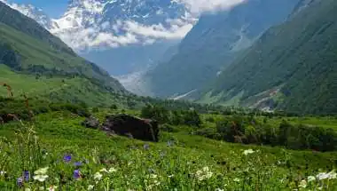 From Valley of Flowers to Kanamo Peak: Best Monsoon Treks to Explore This Season