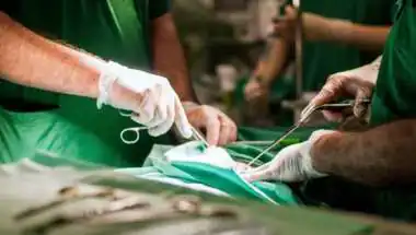 After Kota Deaths and Bikaner Kidney Failures, Now 8 C-Section Women Ill in Jodhpur - Rajasthan's Hospital Crisis Deepens