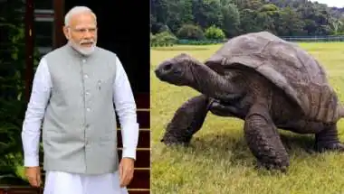 PM Modi Meets Jonathan, World's Oldest Living Land Animal, During State Visit to Seychelles