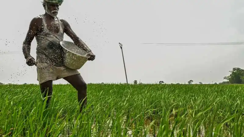 West Asia Crisis May Double India’s Fertilizer Subsidy Bill, Finance Ministry Under Pressure