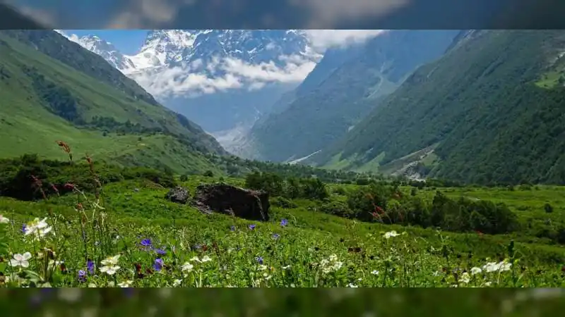 From Valley of Flowers to Kanamo Peak: Best Monsoon Treks to Explore This Season