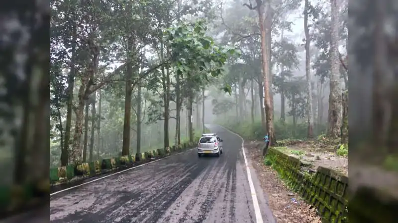 Best Monsoon Drives in India: 5 Breathtaking Road Trip Routes to Experience This Rainy Season